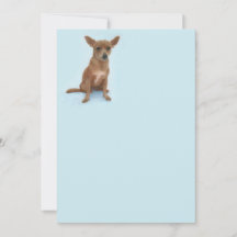 Carte de note Charming Chiweenie