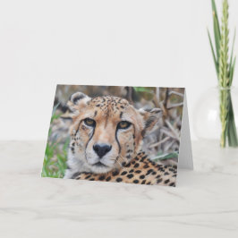 Carte de note Cheetah Cat Art Portrait