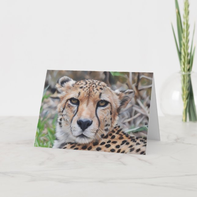 Carte de note Cheetah Cat Art Portrait (Devant)