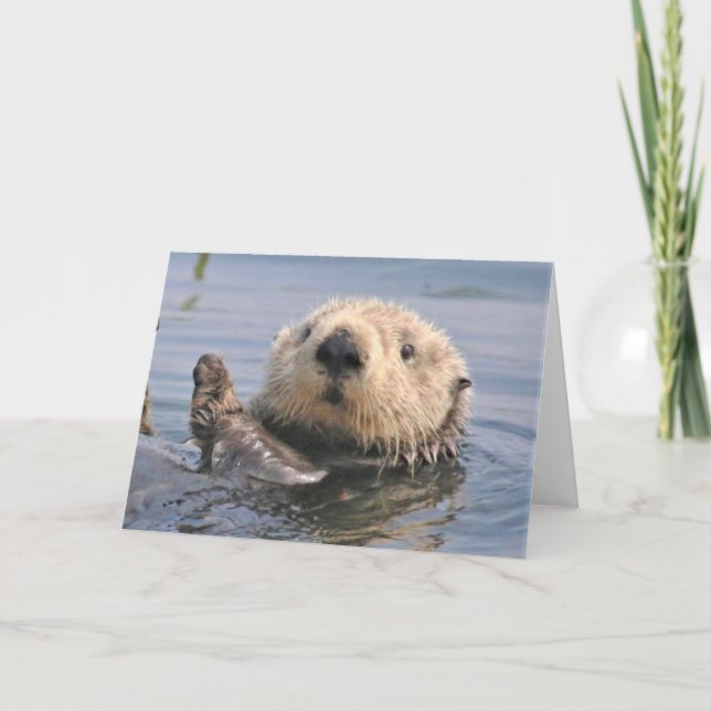 Carte de note climatique Nature (Devant)