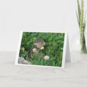 Carte de note climatique Nature