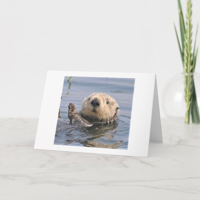 Carte de note climatique Nature (Devant)