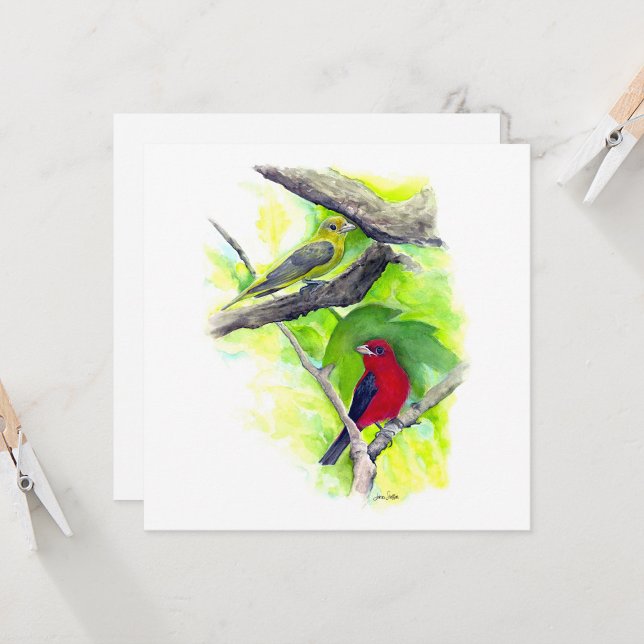 Carte de note Couple Scarlet Tanager (Scarlet Tanager Couple In Tree Watercolor Square Blank Note Cards from Jenn Steffen Art)