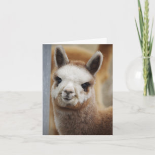 Carte de note Cute Alpaca