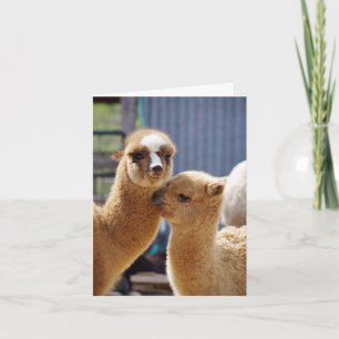 Carte de note Cute Alpacas