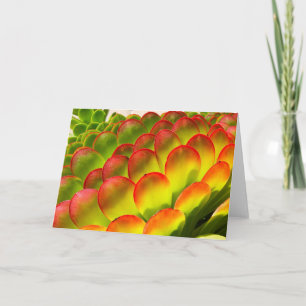 Carte de note d'Aeonium par Debra Lee Baldwin