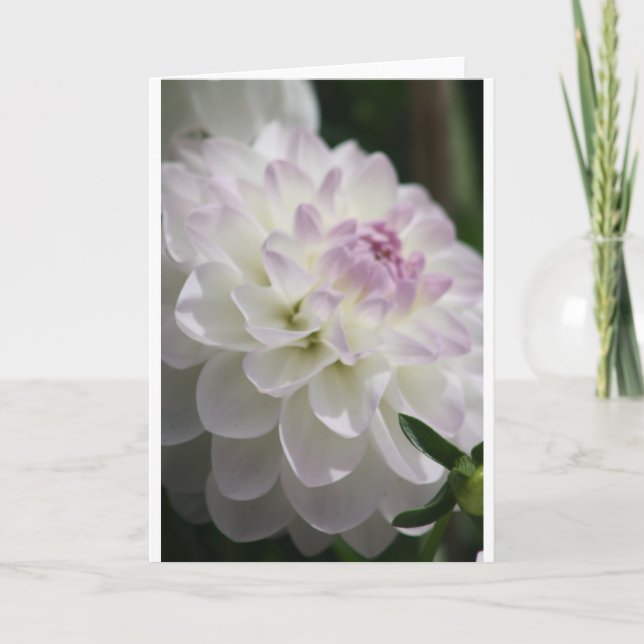 Carte de note Dahlia (Devant)