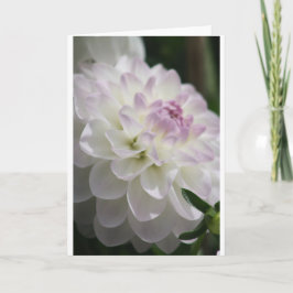 Carte de note Dahlia