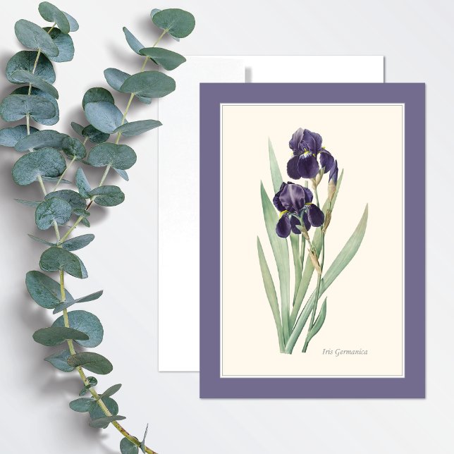 Carte de note d'art botanique violet Iris Germanic (Créateur téléchargé)
