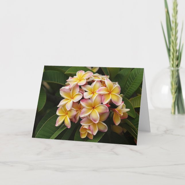 Carte de note d'art de Plumeria (Devant)