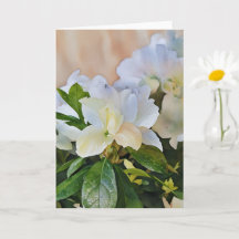 Carte de note d'art Fleurs de Gardenia Blanches