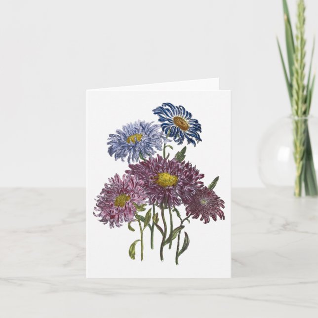 Carte de note de blanc d'aquarelle d'asters (Devant)