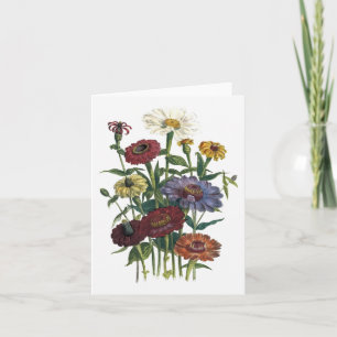 Carte de note de blanc d'aquarelle de Zinnias