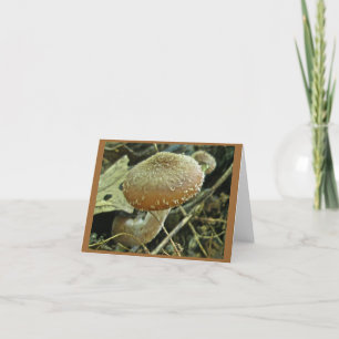 Carte de note de champignon Shaggy Casquette