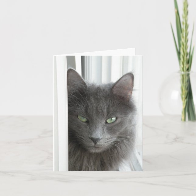 Carte de note de chat gris (Devant)
