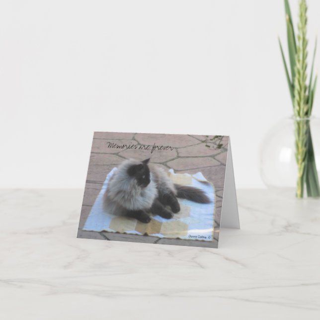 Carte de note de chat souvenirs (Devant)