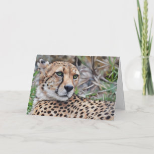 Carte de note de Cheetah Cat Wild Animal Art