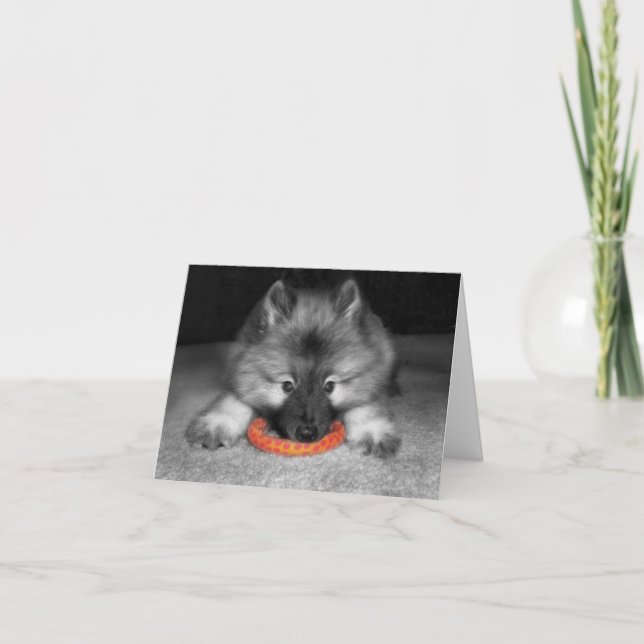 Carte de note de chiot de Keeshond (Devant)