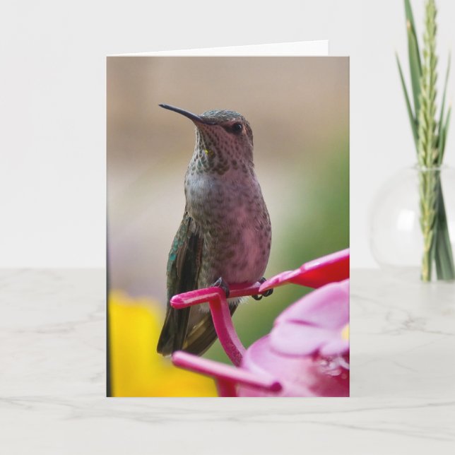 Carte de note de colibri (Devant)