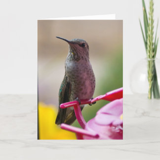 Carte de note de colibri