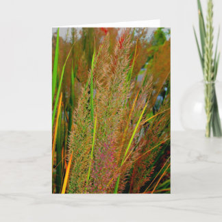 Carte de note de collection de chute