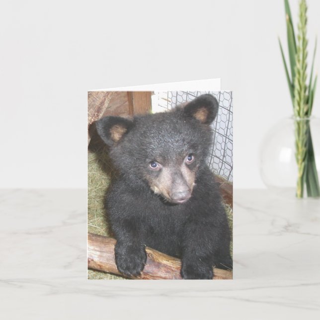 Carte de note de CUB d'ours (Devant)