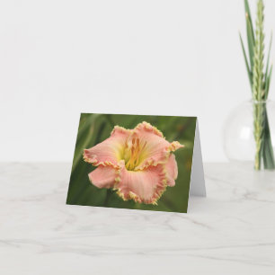 Carte de note de Daylily