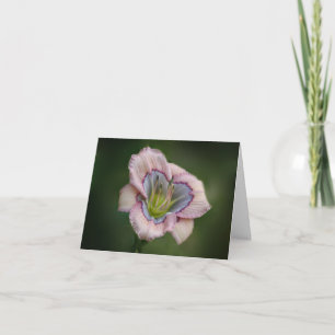 Carte de note de Daylily