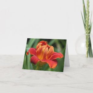 Carte de note de Daylily