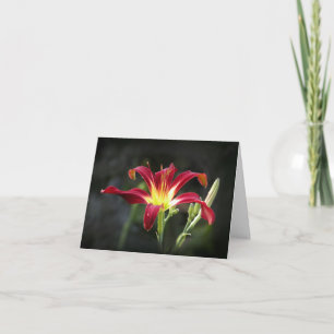 Carte de note de Daylily