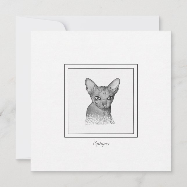 Carte de note de dessin Sphynx Chat Chalk (Devant)