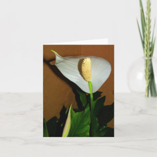 Carte de note de fleur de lily de paix