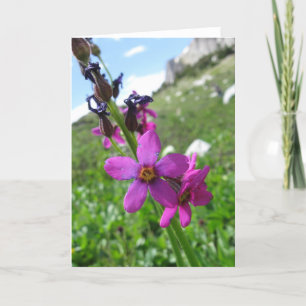 Carte de note de fleur sauvage de montagne pourpre