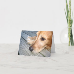 Carte de note de golden retriever