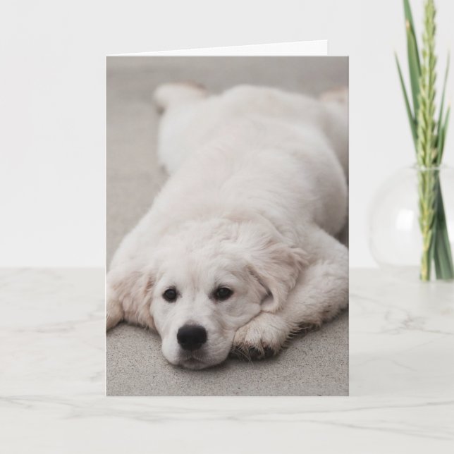 Carte de note de golden retriever (Devant)
