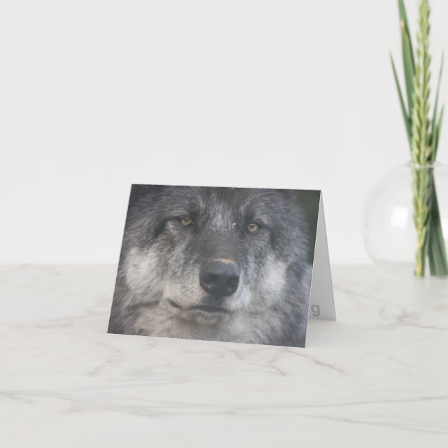 Carte de note de Himtuuqin (Devant)