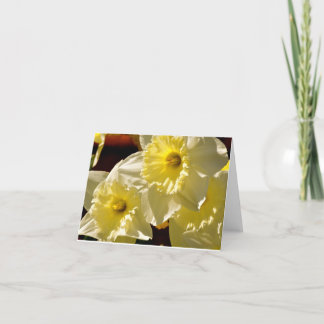 Carte de note de jonquilles
