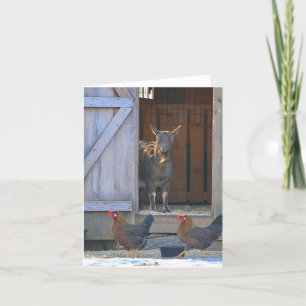 Carte de note de la chèvre et du poulet de la ferm