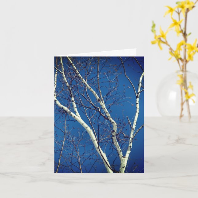 Carte de note de la nature Blue Sky Birch Tree (Fleur jaune)