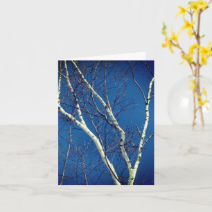 Carte de note de la nature Blue Sky Birch Tree