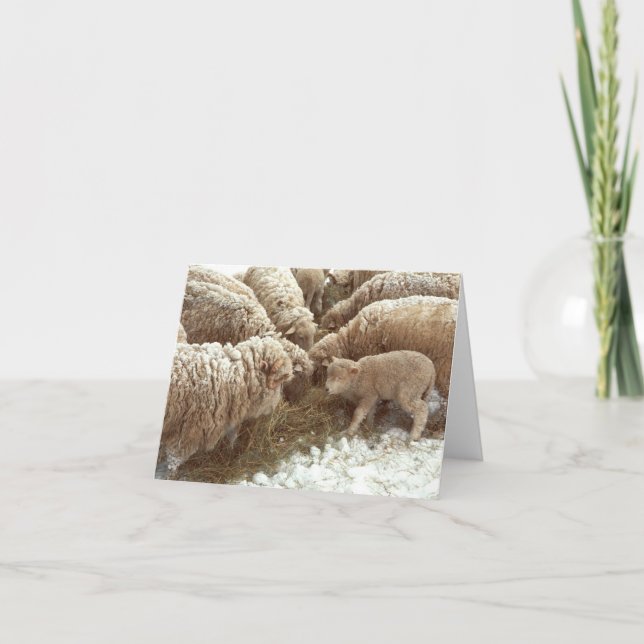 Carte de note de l'agneau (Devant)