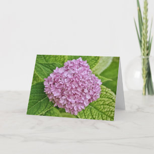 Carte de note de l'Hydrangea Puff Lavender Purple