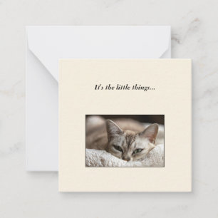 Carte de note de mini-remerciement de chats mignon