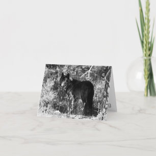 Carte de note de paquet de dent de scie