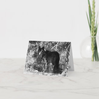 Carte de note de paquet de dent de scie