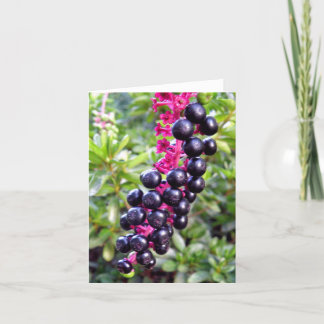Carte de note de Pokeweed