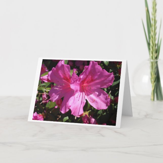 Carte de note de ressort (Devant)