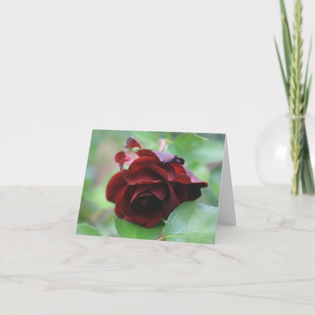 Carte de note de rose rouge profond élégante (Devant)