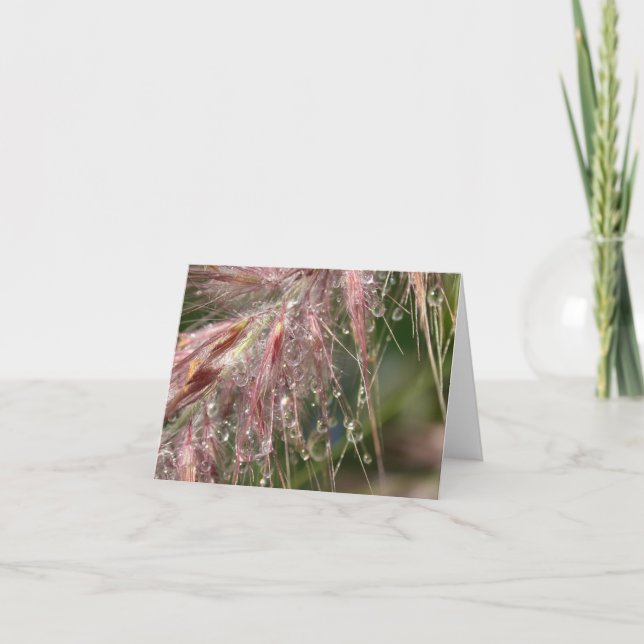 Carte de note de rosée de matin (Devant)