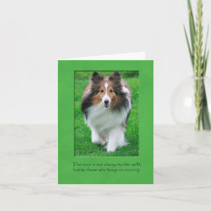 Carte de note de Sheltie